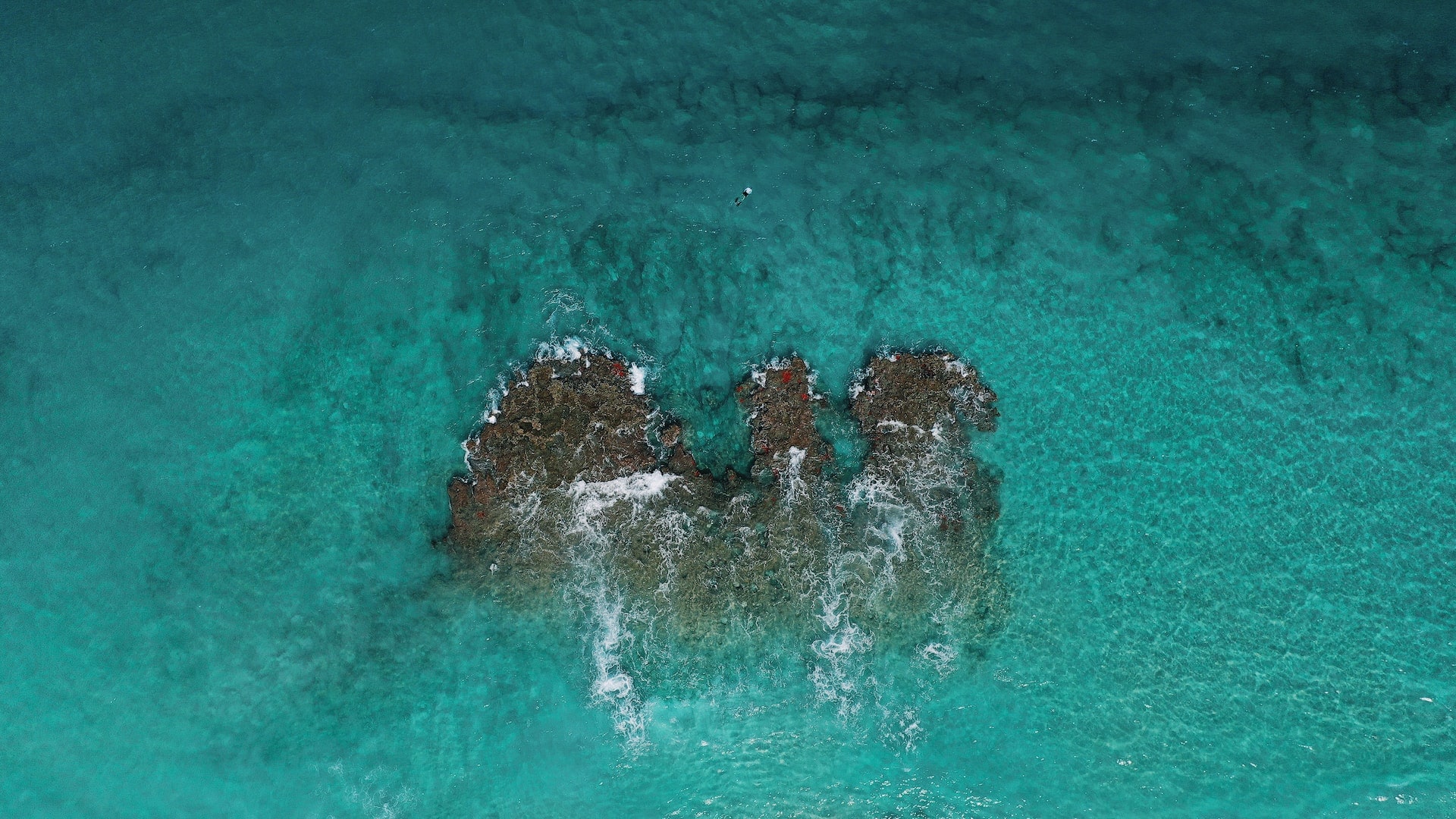 florida_03-min florida_03