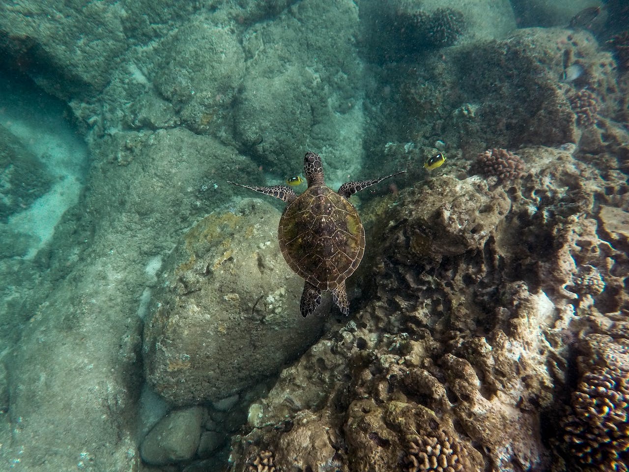 seychelles_06